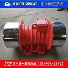 MVE-60-4三相異步振動電機(jī) BZF-15倉壁振動器